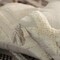 16" Handwoven Cotton Throw Pillow Cover with White on White Tufted Design and Tassel Corners